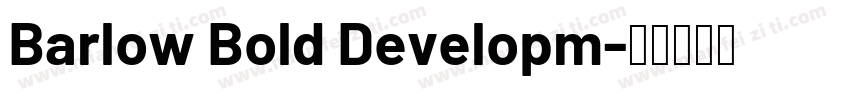 Barlow Bold Developm字体转换